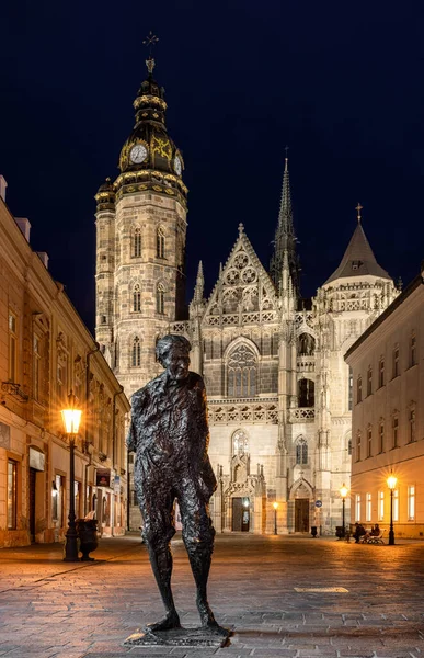 Slovakya Kosice Kentindeki Aziz Elizabeth Katedrali Nin Önündeki Julius Jakoby — Stok fotoğraf