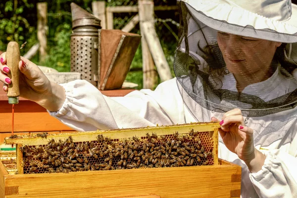 女性養蜂家でホワイトスイートとともに彼女の蜂 — ストック写真