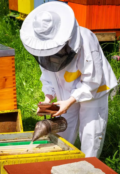 Včelařství Včelař Úly — Stock fotografie