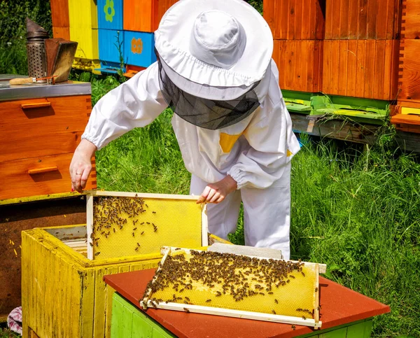 Пчеловод Пчелами Улье — стоковое фото