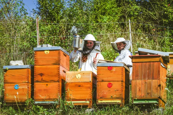 Včelaři Bílém Obleku Úly — Stock fotografie