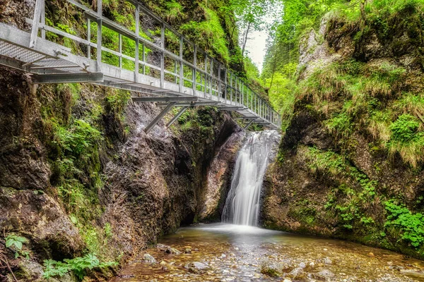 Passerelle Vide Cascade Dans Plongée Janosikove Attraction Touristique Dans Parc — Photo