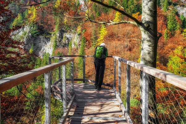 Turista Vigia Floresta Outono Vale Kvacianska Dolina Eslováquia — Fotografia de Stock
