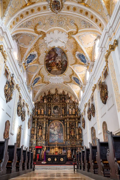 Trnava Slovacia Martie 2023 Interiorul Catedralei Ioan Botezătorul Din Orașul — Fotografie, imagine de stoc