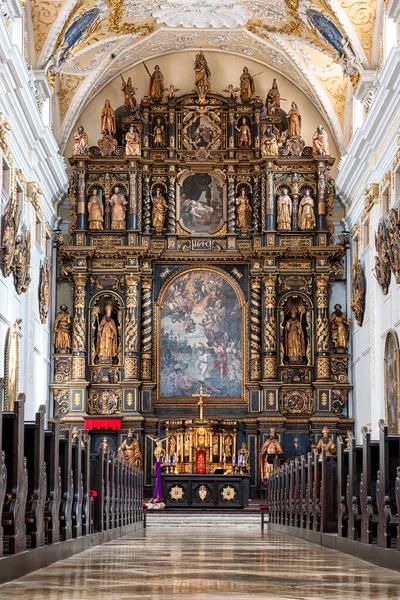 Cattedrale San Giovanni Battista Trnava Slovakia — Foto Stock