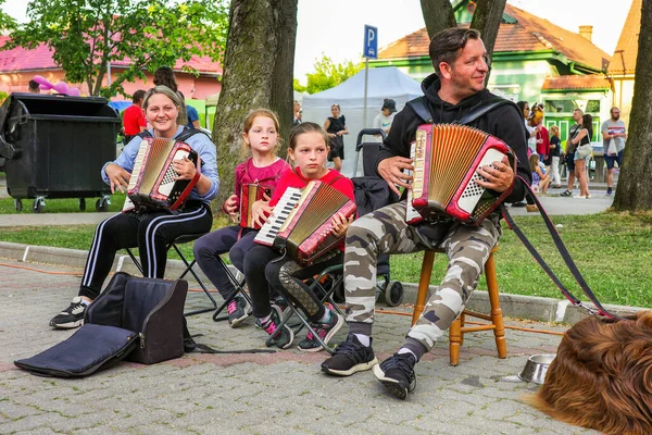 Ruzomberok Slowakei Juni 2022 Familie Mit Kleinen Kindern Spielt Auf — Stockfoto