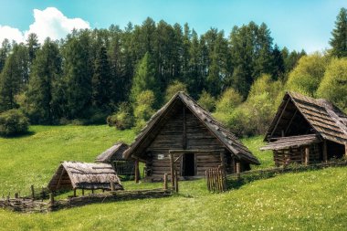 Slovakya Havranok Arkeoloji Müzesi.