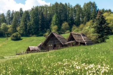 Slovakya Havranok Arkeoloji Müzesi.