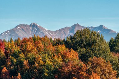 Renkli sonbahar ağaçları ve Batı Tatra 'nın tepeleri 