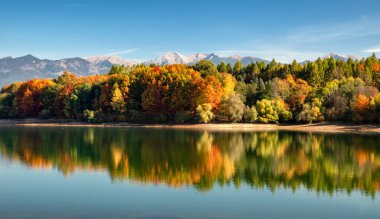 Sonbahar panoramik manzarası. Suyun içindeki renkli ağaçların ve arka plandaki dağların yansıması. Slovakya 'daki su deposu Liptovska Mara ve Batı Tatras dağları.