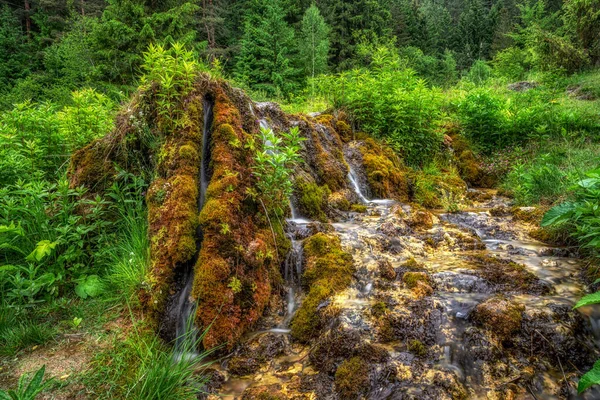 Flowing Water Travertine Rocks Forest Called Jazierske Travertiny Slovakia — Stock Photo, Image
