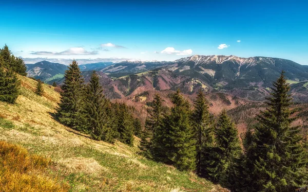 Великие Горы Фатры Словакии — стоковое фото