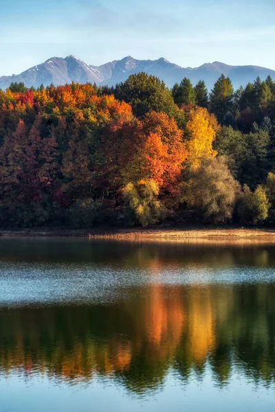 Stock image Reflection of colorful trees over lake with mountains at background. Water eservoir Liptovska Mara and Western Tatras mountains