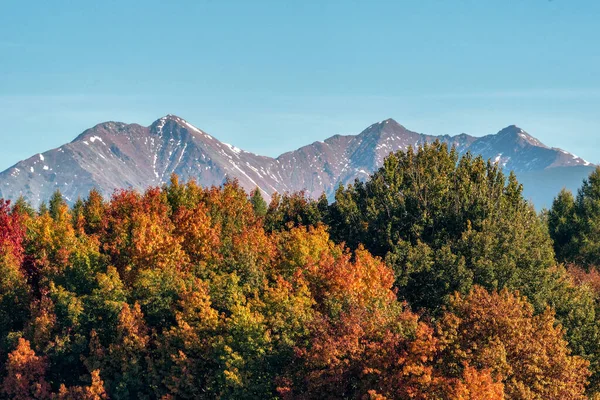 Färgglada Höstträd Och Toppen Topparna Västra Tatras — Stockfoto