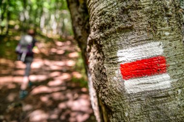 Ağaçta yürüyüş işareti ve Slovaki 'de yürüyüş.