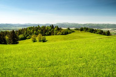 Yeşil çimenler, çayırlar ve mavi gökyüzü ve Slovakya 'da tembel Cremosnianske