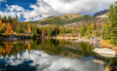 Su yüzeyindeki kozalaklı ağaçların ve bulutların yansıması. Slovakya 'daki High Tatras dağlarında Tarn Rakytovske pliesko.