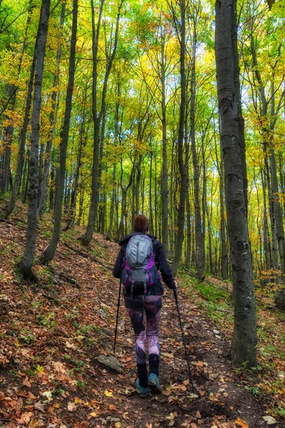Mulher Caminhante Caminhando Caminho Floresta Outono — Fotografia de Stock