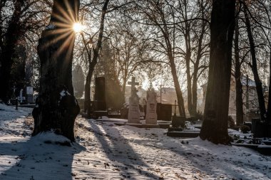 Martin, Slovakya - 19 Aralık 2022: Birçok ünlü kişinin mezarlarıyla Slovakya Ulusal Mezarlığı