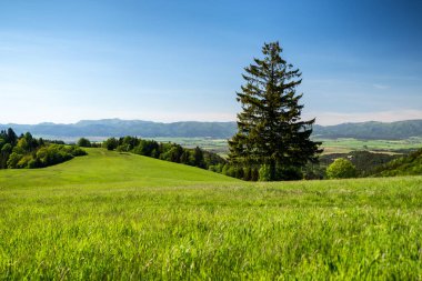 Yeşil çimenler, çayırlar ve mavi gökyüzü ve Slovakya 'da tembel Cremosnianske