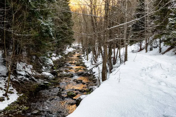 Rio Que Flui Através Vale Chamado Dolina Kvacianska Temporada Inverno — Fotografia de Stock