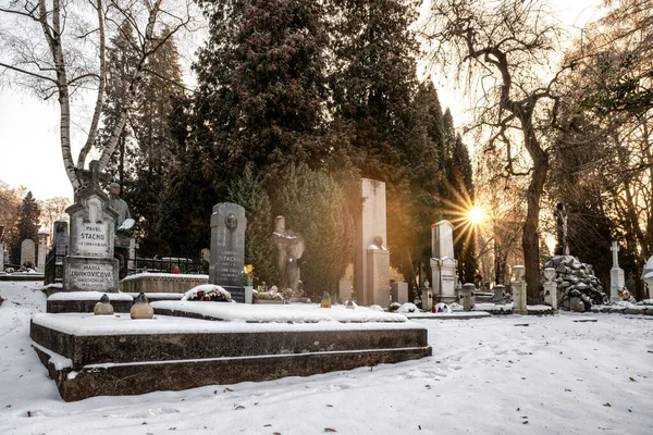 Martin Slovacchia Dicembre 2022 Cimitero Nazionale Slovacco Con Tombe Molti — Foto Stock