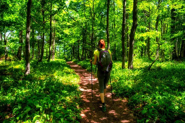 Woman hiker with trekking poles walking on beautiful green forest path.