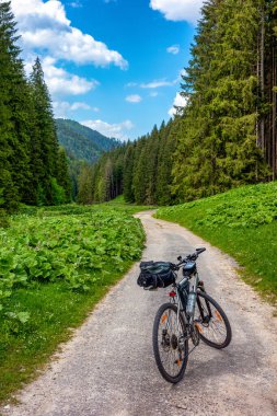 Slovakya 'da Ludrovska Dolina Vadisi. Ormanda yoldaki boş bisiklet