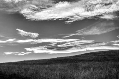 Gökyüzünde bulutlar olan siyah ve beyaz çayır..