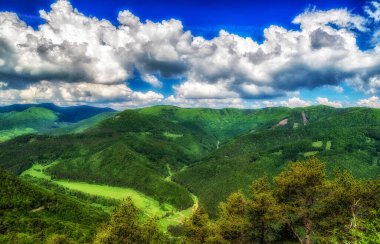 Öngörüsü olan güzel yeşil bir ülke ve gökyüzünde beyaz bulutlar olan ağaçlar. Slovakya 'daki Zniev tepesinden görüntü