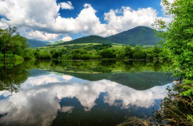 Göletteki gökyüzünün yansıması. Ağaçların güzel su yansımaları.