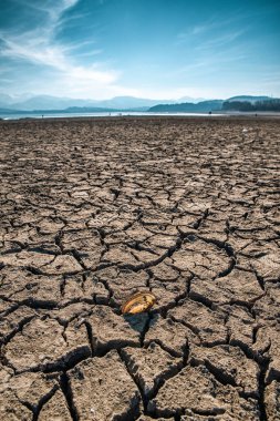 Dry and cracked earth during drought on lake Liptovska Mara in Slovakia clipart