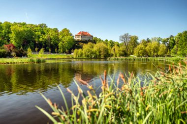 Çek Cumhuriyeti Prag 'da Park Stromovka.
