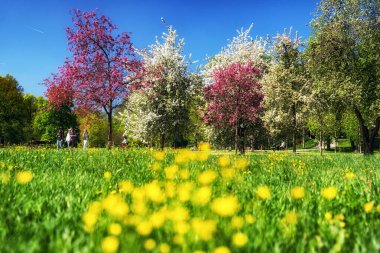 Prag, Çek Cumhuriyeti - 27 Nisan 2025: Prag Cumhuriyeti 'ndeki Stromovka Parkı' nda yürüyen insanlar