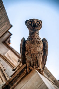Çek Cumhuriyeti Prag şehir merkezindeki St. Ludmila Bazilikası 'nda baykuş heykeli.