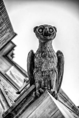 Çek Cumhuriyeti Prag şehir merkezindeki St. Ludmila Bazilikası 'nda baykuş heykeli.