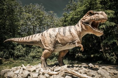 Bratislava, Slovakya - 28 Haziran 2014: Dinopark 'ta dinozor Tyrannosaurus Rex' in gerçekçi modeli, tarih öncesi temalı popüler eğitim cazibesi.