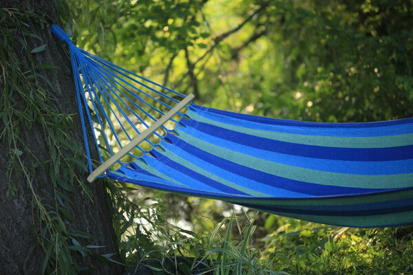 Blue hammock close to tree