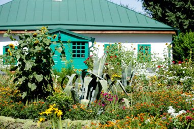 Evin önünde renkli bitkiler