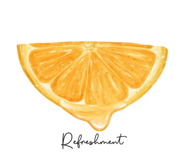 Yenileme Dilimlenmiş yarım portakal meyvesi Sıvı damlalı suluboya el boyalı Yarı gerçekçi illüstrasyon vektörü beyaz arka planda izole.