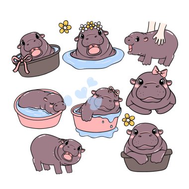 cute baby pygmy hippo bouncy pig cartoon character collection clipart