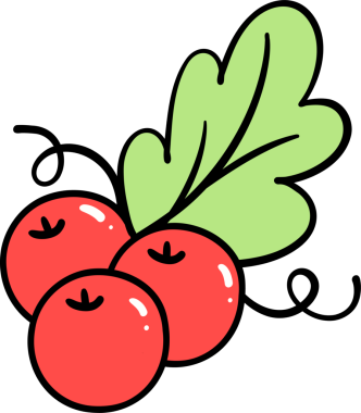 Noel meyveleri elle çizilmiş