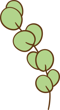 Retro Okaliptüs Yaprak Dekoratif Pastel Kitapçığı