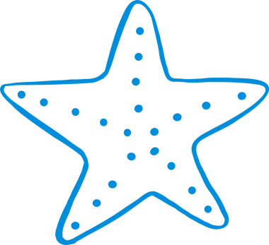 Cone Shell Deniz Kabuğu Taslak Oyuncu El Çizimi