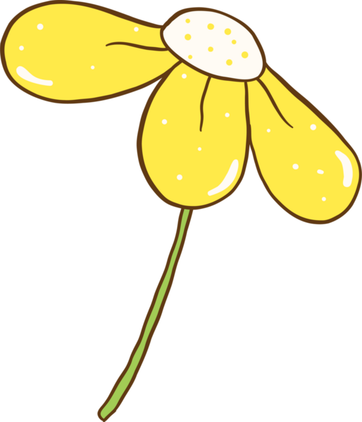 Kök Karalama Elli Şirin Sarı Çiçek