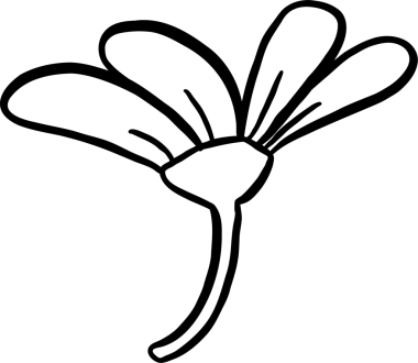 Kök Karalama Özeti ile Şirin Çiçek