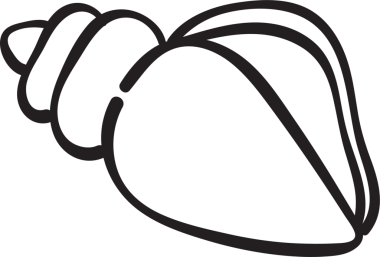 Şirin Deniz Kabuğu Kukusu Çizgisi