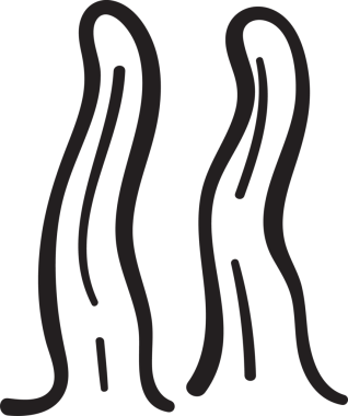 Şirin Yosun Karalama Çizgisi