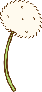 Şirin Karahindiba Çiçeği Çizim El