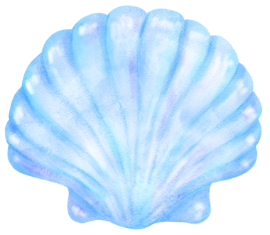 Pastel Mavi Deniz Kabuğu Suluboya Deniz Kabuğu